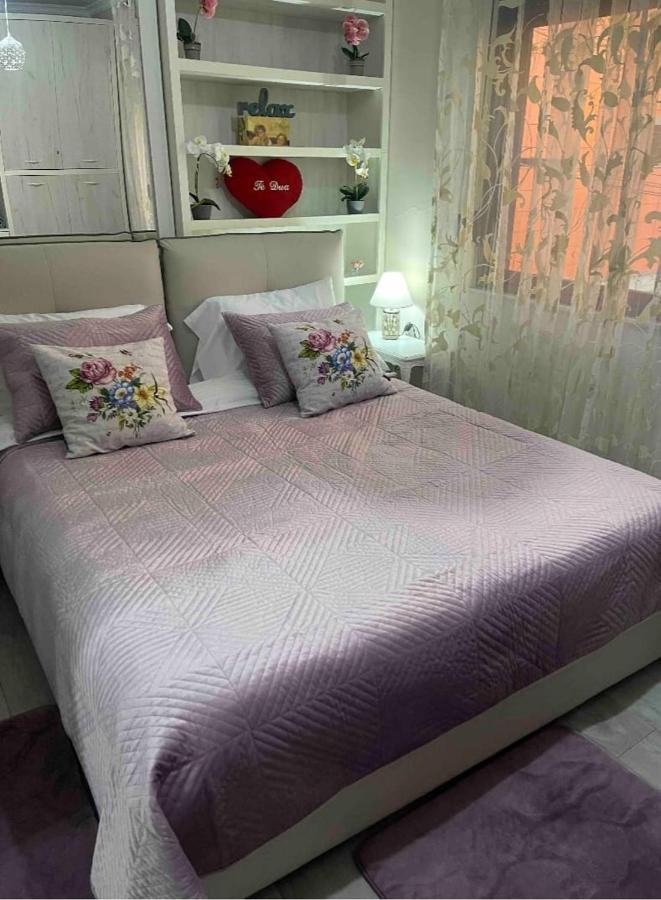 Warm Apartment In The Center Of Tirana City Eksteriør billede